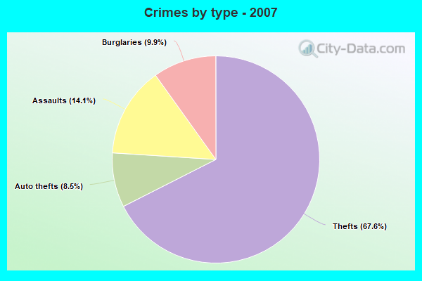 Crimes by type - 2007