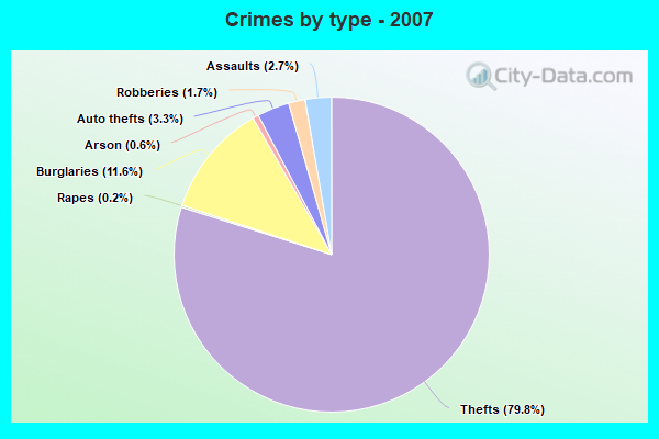 Crimes by type - 2007