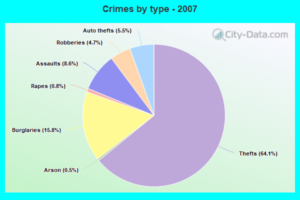 Crimes by type - 2007