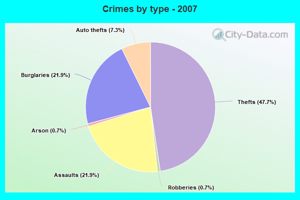 Crimes by type - 2007