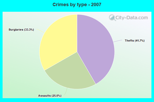 Crimes by type - 2007