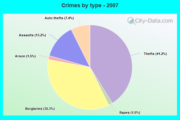 Crimes by type - 2007