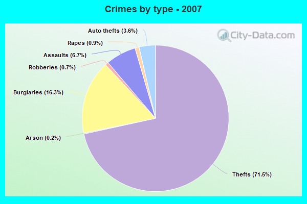 Crimes by type - 2007