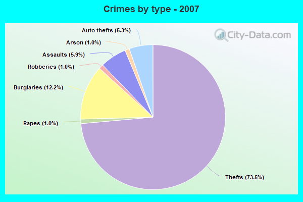 Crimes by type - 2007