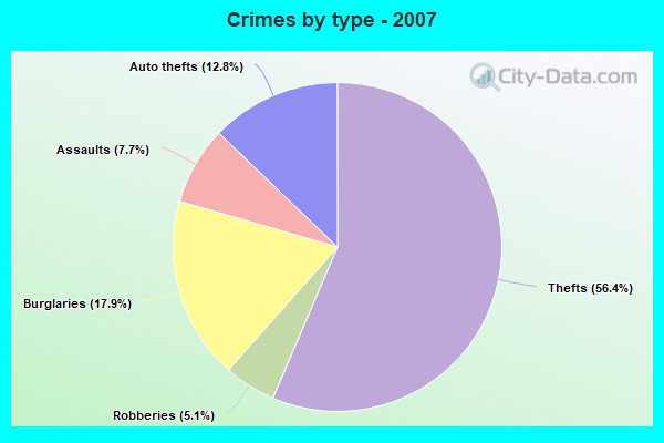 Crimes by type - 2007