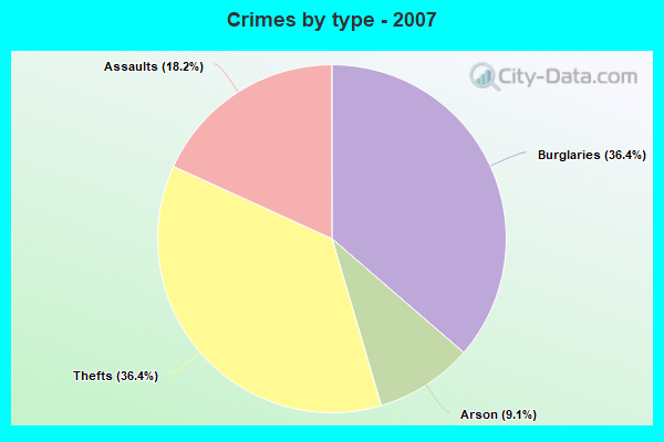 Crimes by type - 2007