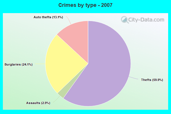 Crimes by type - 2007