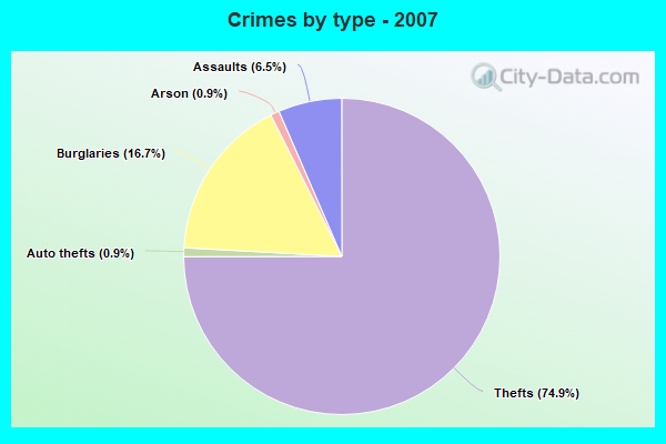 Crimes by type - 2007