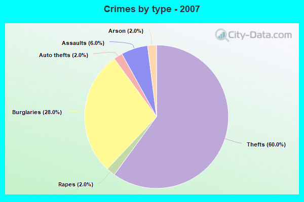 Crimes by type - 2007