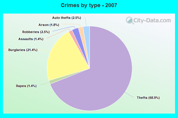 Crimes by type - 2007