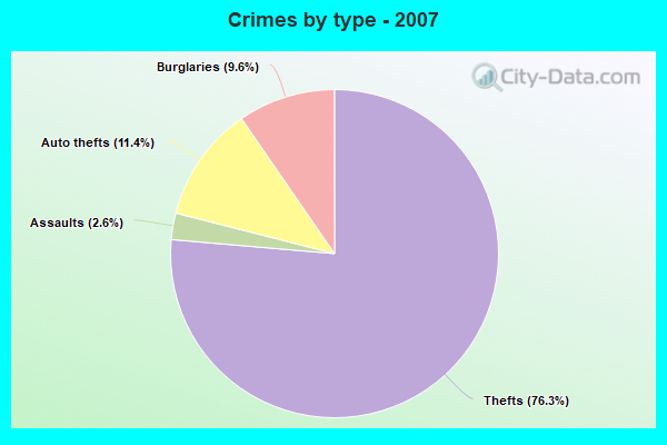 Crimes by type - 2007