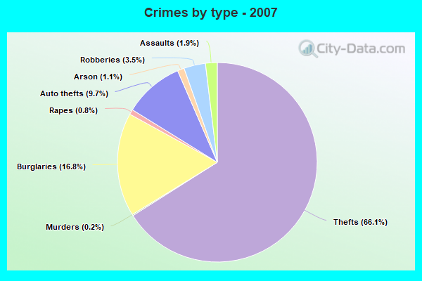 Crimes by type - 2007