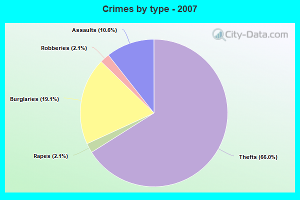 Crimes by type - 2007