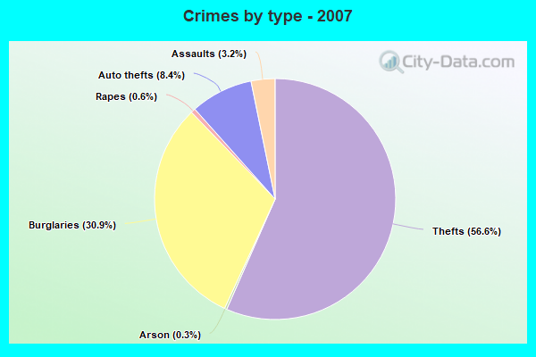 Crimes by type - 2007