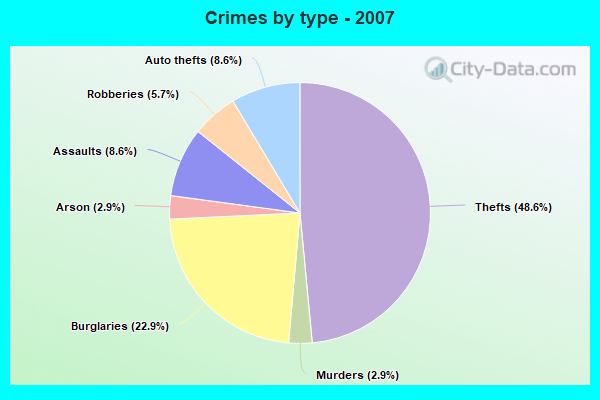 Crimes by type - 2007