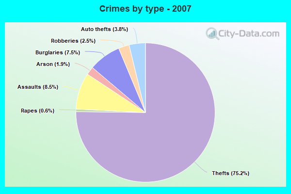 Crimes by type - 2007