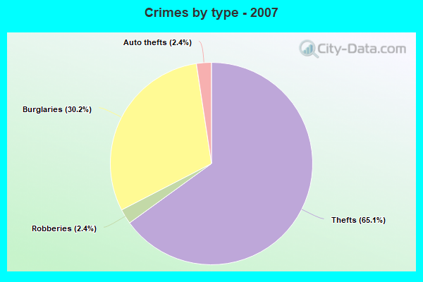 Crimes by type - 2007