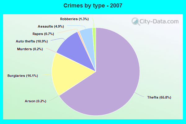 Crimes by type - 2007