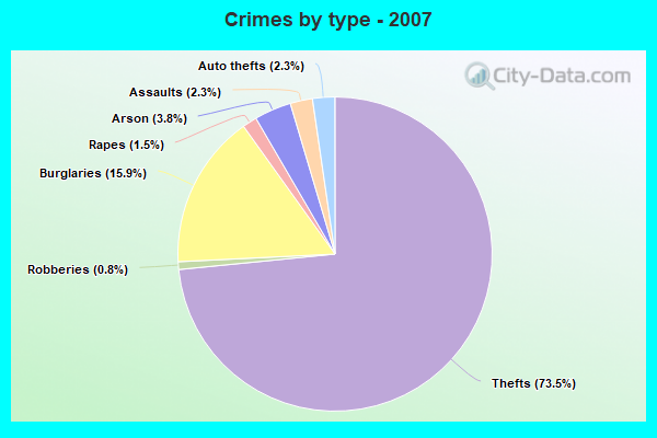 Crimes by type - 2007