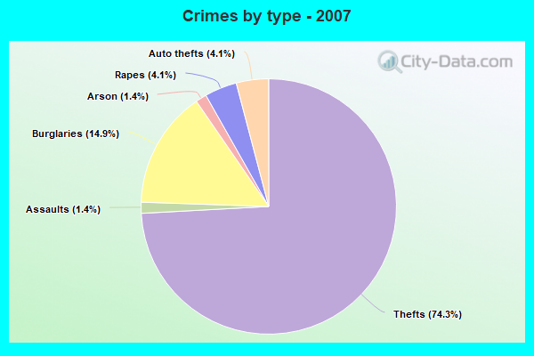 Crimes by type - 2007