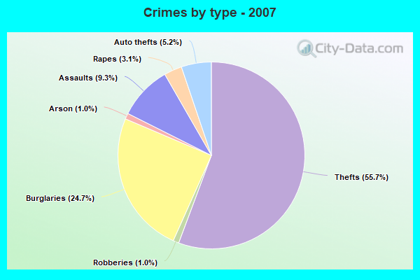 Crimes by type - 2007