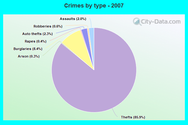 Crimes by type - 2007