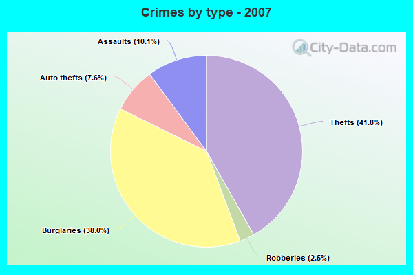 Crimes by type - 2007