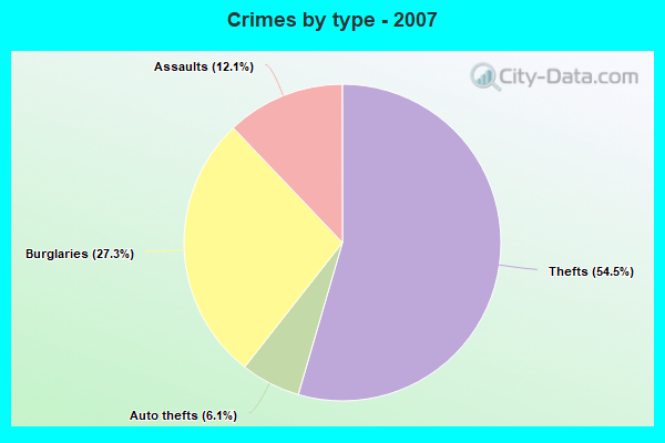 Crimes by type - 2007