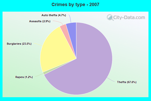 Crimes by type - 2007