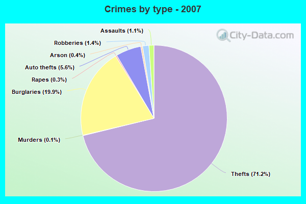 Crimes by type - 2007