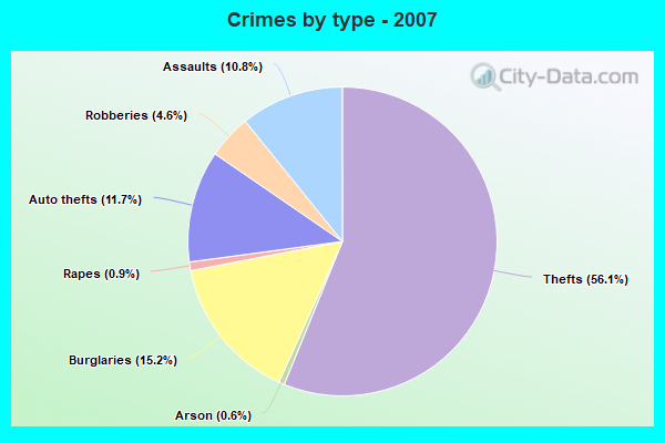 Crimes by type - 2007