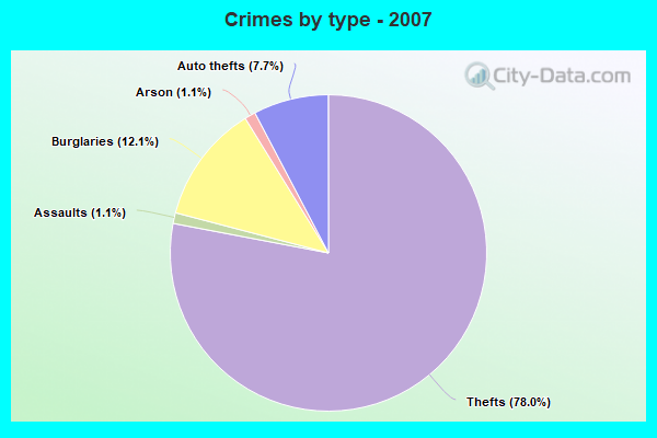 Crimes by type - 2007