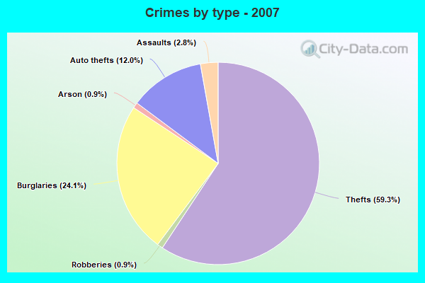 Crimes by type - 2007