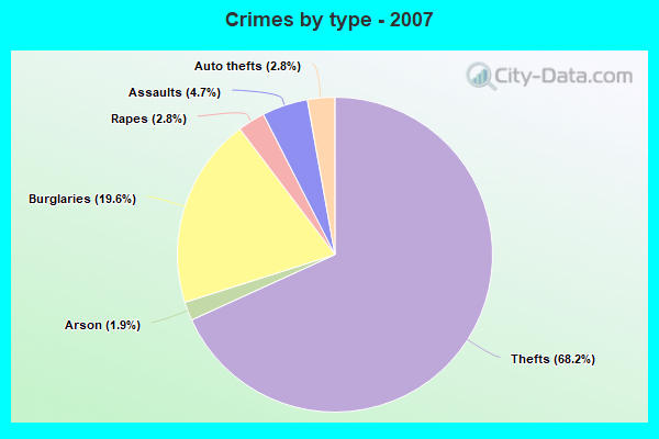 Crimes by type - 2007