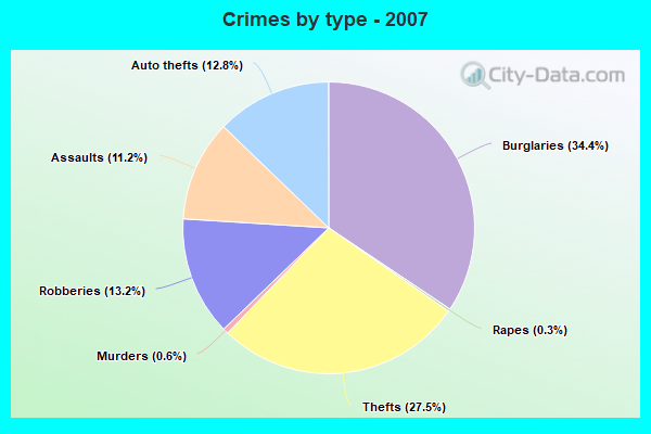 Crimes by type - 2007