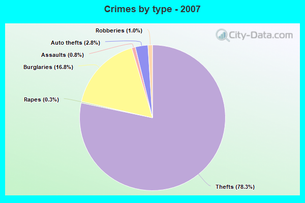 Crimes by type - 2007