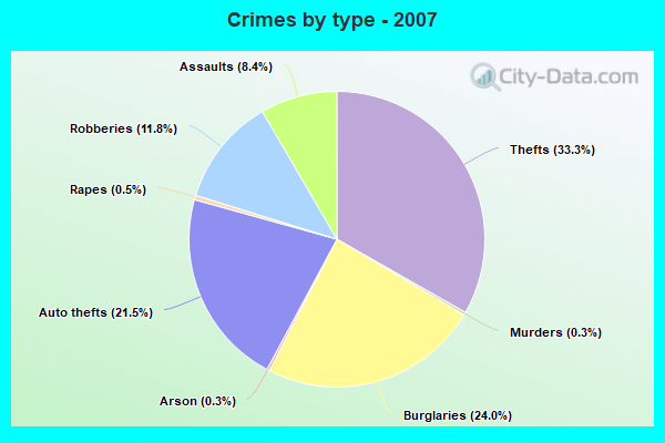 Crimes by type - 2007