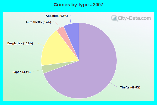 Crimes by type - 2007