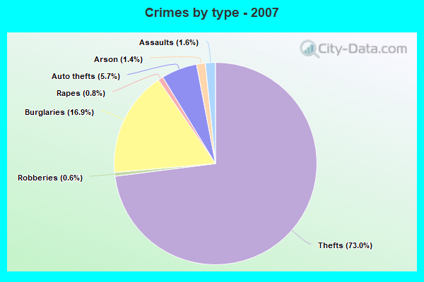 Crimes by type - 2007