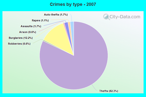 Crimes by type - 2007