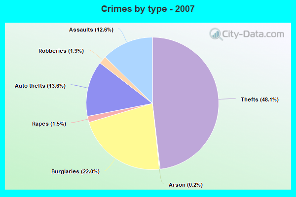 Crimes by type - 2007