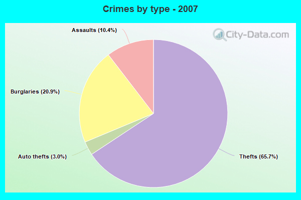 Crimes by type - 2007