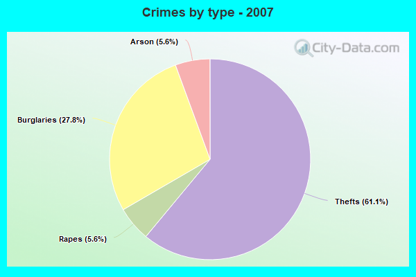 Crimes by type - 2007