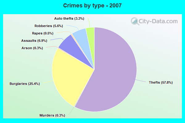 Crimes by type - 2007