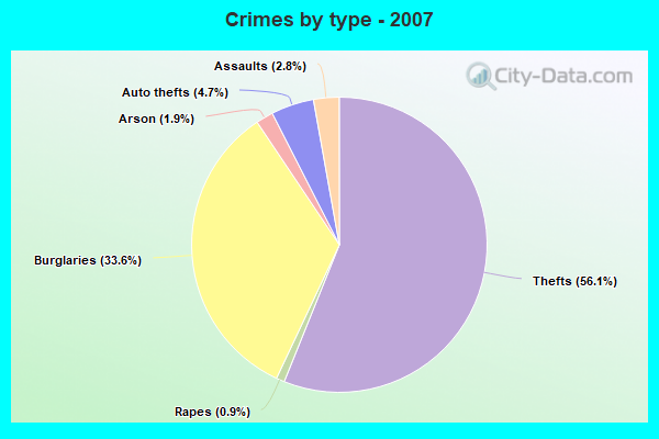 Crimes by type - 2007