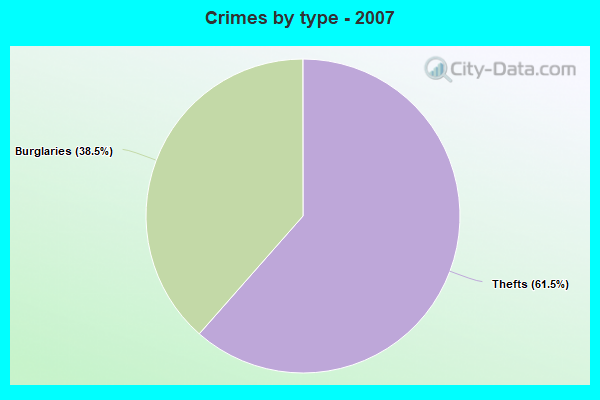 Crimes by type - 2007