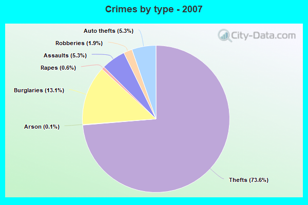 Crimes by type - 2007