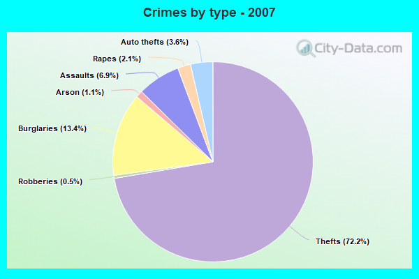 Crimes by type - 2007