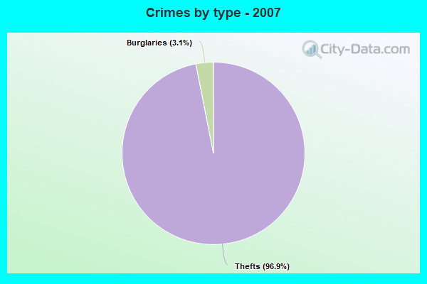 Crimes by type - 2007