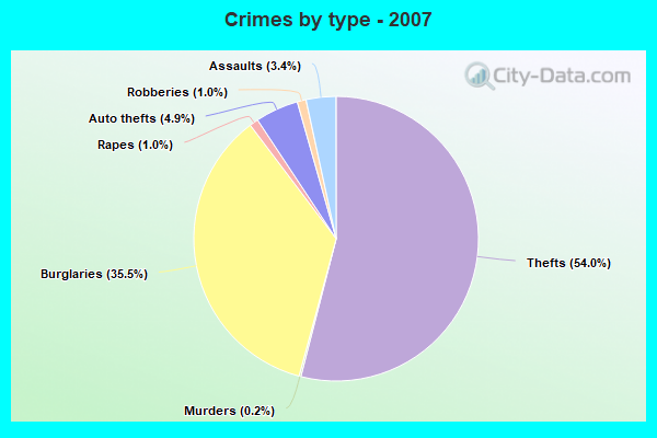 Crimes by type - 2007